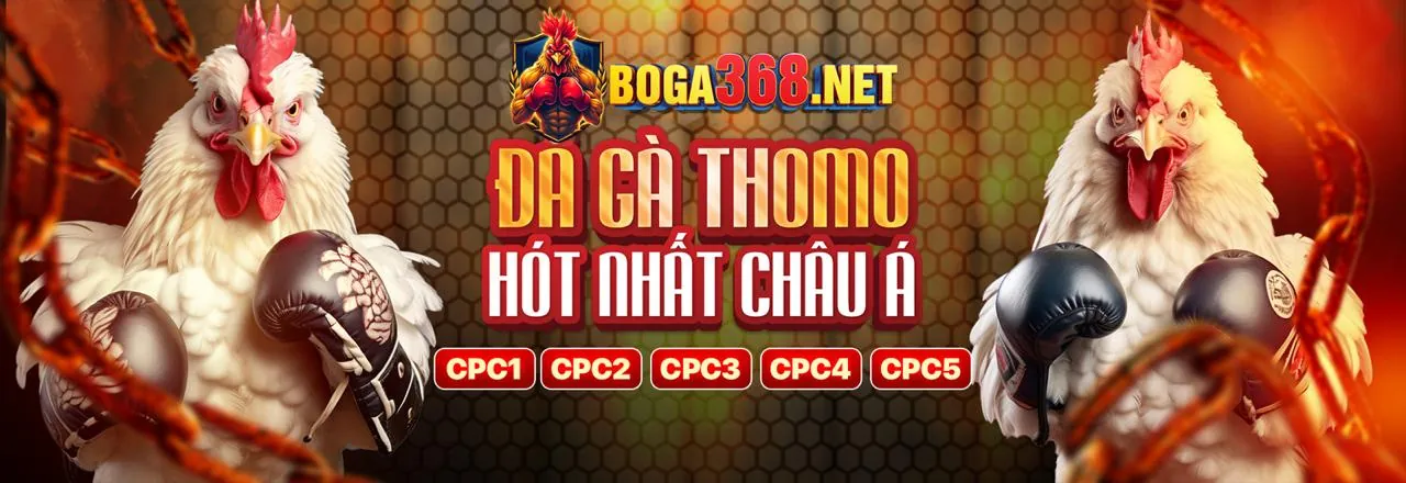 Đá Gà Trực Tuyến go8 news