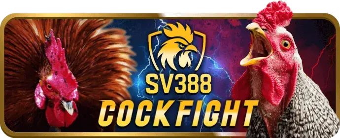 Bước 4: Nhận hoa hồng